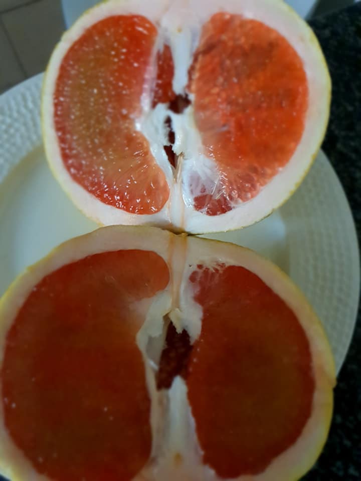 Grapefruit