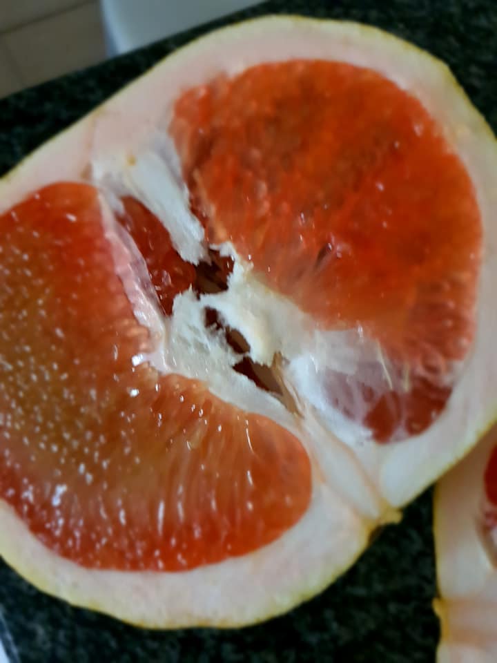 GRAPEFRUIT:THERAPY or NOT?