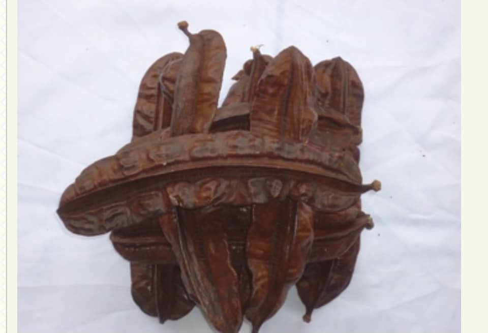 Uyayak pods