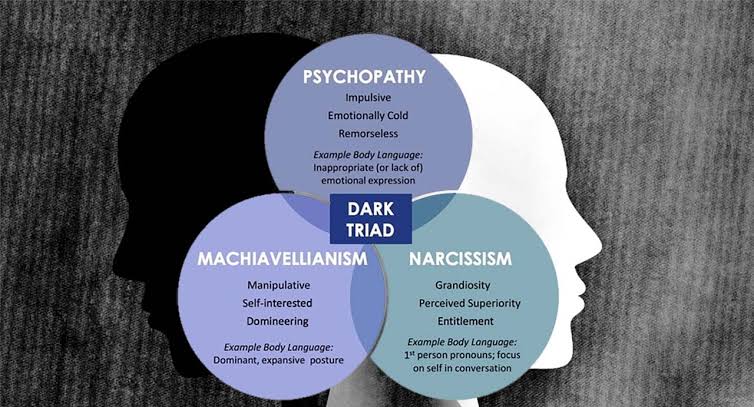 TEENAGERS WITH DARK TRIAD TRAITS.