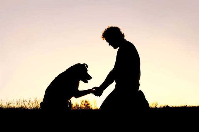 PET LOSS AND GRIEF